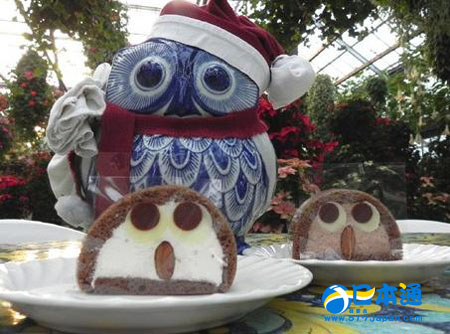 神户花鸟园推出独家猫头鹰形状卷筒蛋糕