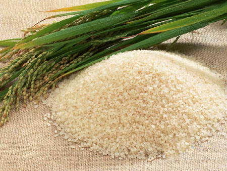 带你了解日本稻米文化