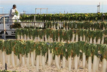 神奈川县开始大量晒制白萝卜干用于腌制黄萝卜咸菜