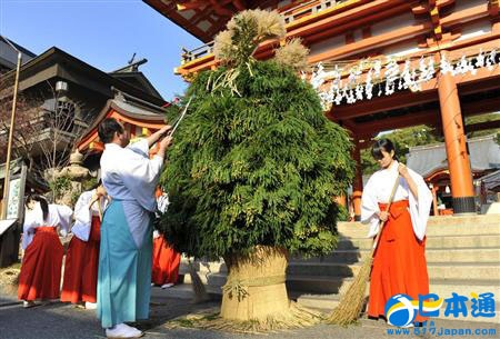 神户市生田神社的“杉盛”