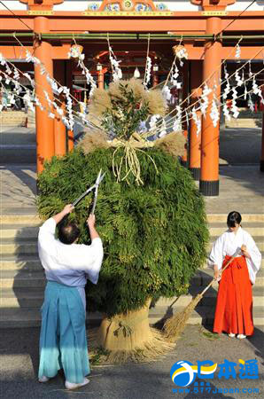 神户市生田神社的“杉盛”