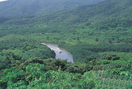 冲绳县八重山列岛最大的岛屿 西表岛