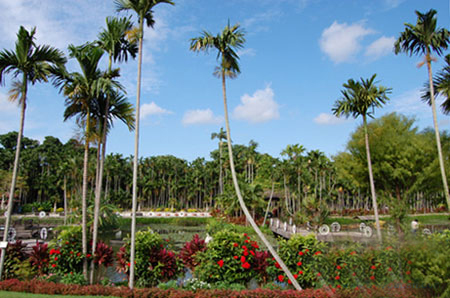 冲绳市北郊 充满快乐天堂的东南植物乐园