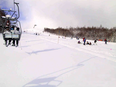 手稻高原滑雪场 丰富多彩变化多端的滑雪路线