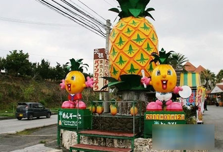 菠萝为主题的公园 名护菠萝园
