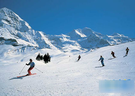 八甲田滑雪场 享受美景与滑雪乐趣