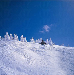 八甲田滑雪场 享受美景与滑雪乐趣