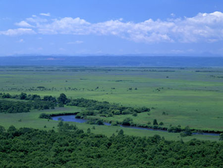 北海道湿原生态 钏路湿原