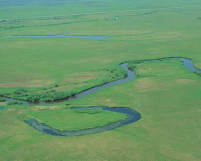 北海道湿原生态 钏路湿原