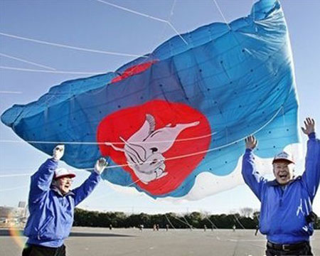日本新春风筝节 放飞800只风筝
