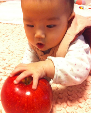 日本旅游莫错过世界上最大的苹果——青森苹果