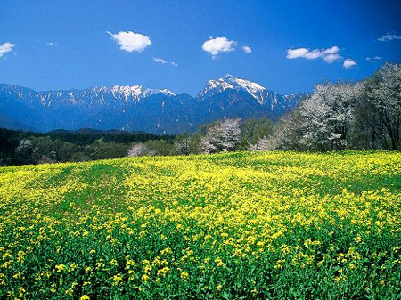 游在日本 山梨县绝美自然公园景观