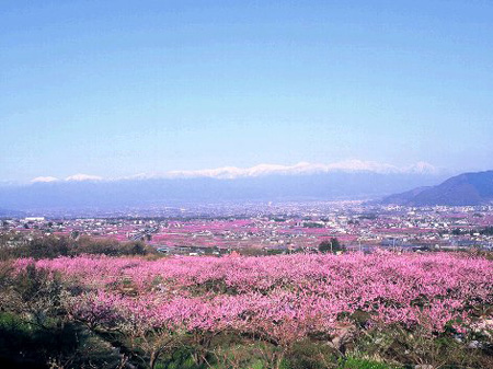 游在日本 山梨县绝美自然公园景观