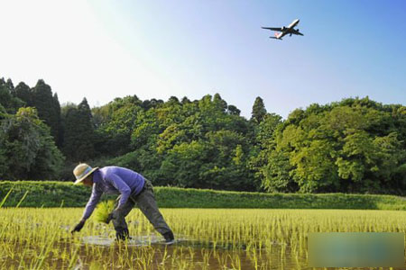 世界上最幸福的农民 日本农民