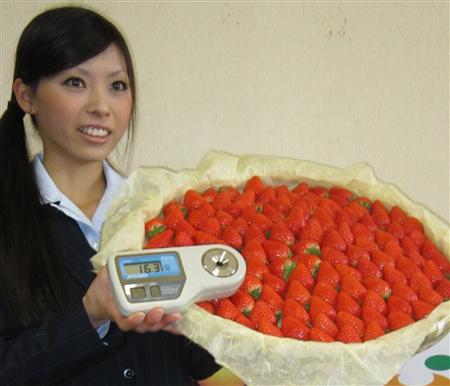 爱媛县农协推出高甜度草莓