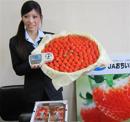 爱媛县农协推出高甜度草莓