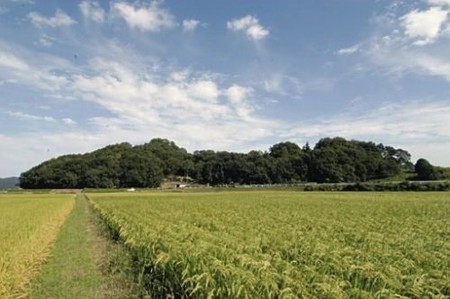 冈山古坟可能兴建于人口剧减时期 或推翻日本考古学理论