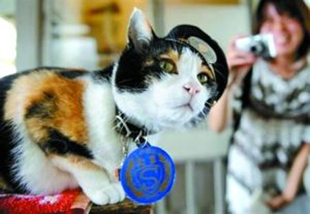 猫文化之国 日本猫的幸福生活