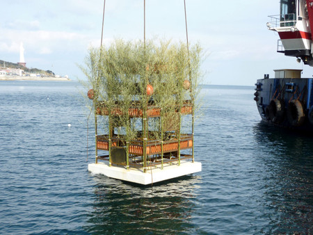 兵库县设置环保人工鱼礁