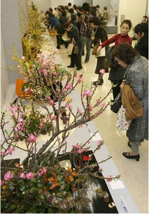 大阪市举办女性作家插花展活动