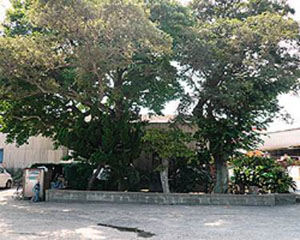 冲田畷古战场遗址