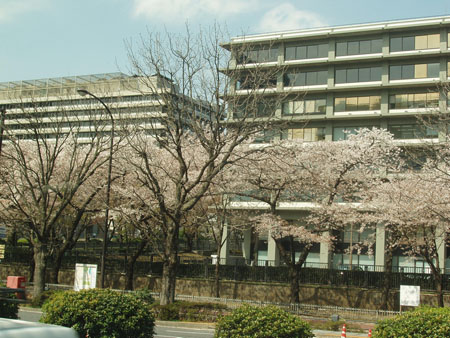 中国游客参观日本著名筑波科学城　交流科技文化