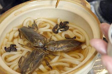 日本令人毛骨悚然的昆虫料理 你敢吃吗？