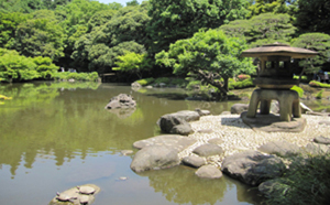 日本的西洋式庭园——旧古河庭园