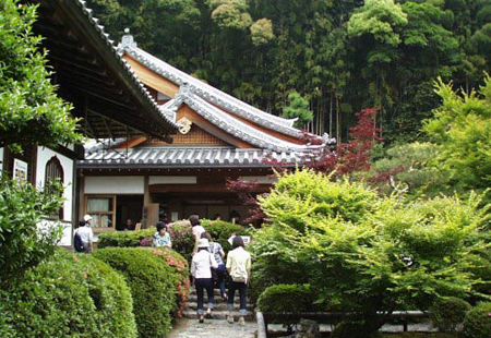 京都府铃虫寺 聆听悦耳铃虫声