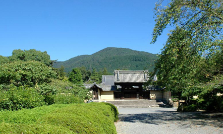 京都著名赏梅花红叶圣地——随心院