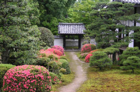 京都著名赏梅花红叶圣地——随心院