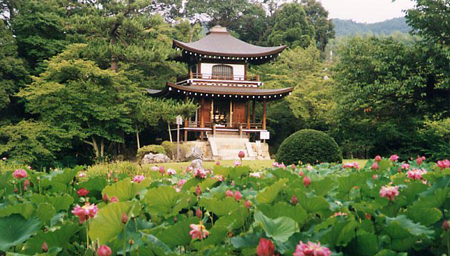 劝修寺 池泉回游式庭园