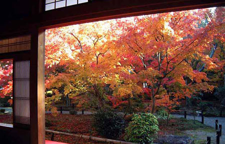 日本最早学校——圆光寺