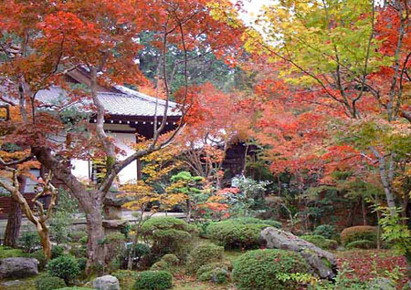 日本最早学校——圆光寺