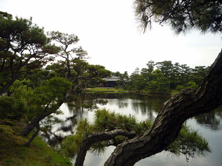 中日合璧的庭院 养翠园