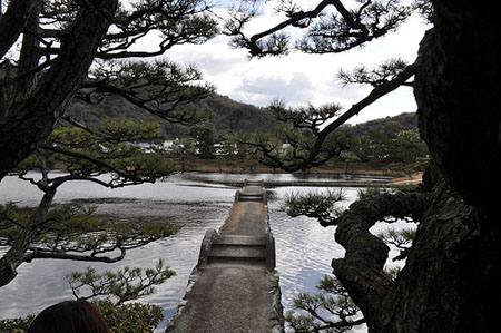 中日合璧的庭院 养翠园