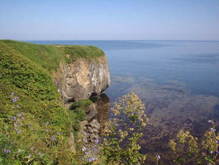 《非诚勿扰》中的能取岬