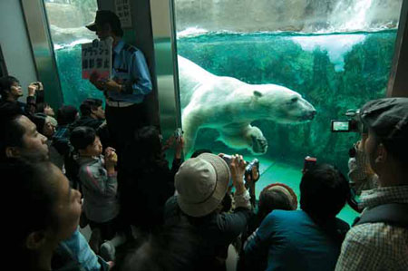 日本最北的动物园 旭山动物园