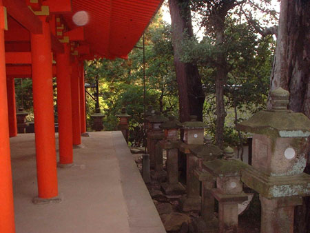 漫步日本奈良 梦回大唐盛世