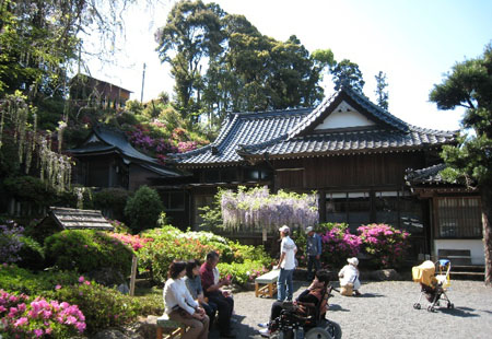 紫藤花园 藤山神社