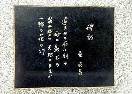 别人酣睡我独醒 日本作家原民喜