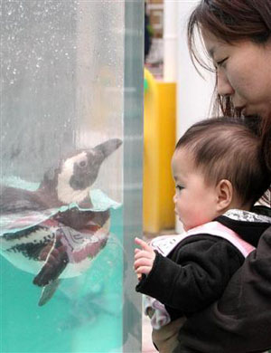宫城县受灾水族馆和动物园重新开放