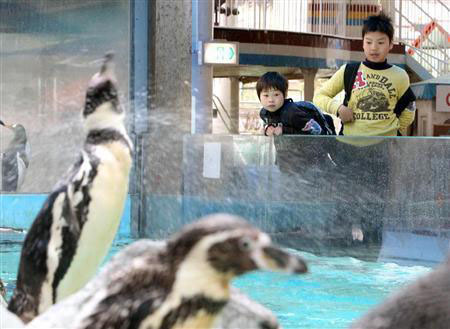 宫城县受灾水族馆和动物园重新开放