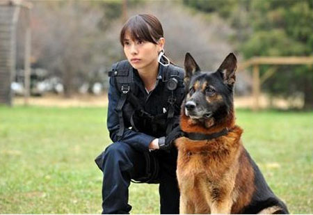 户田惠梨香新剧化身警犬训练员 演绎抢险救援好戏