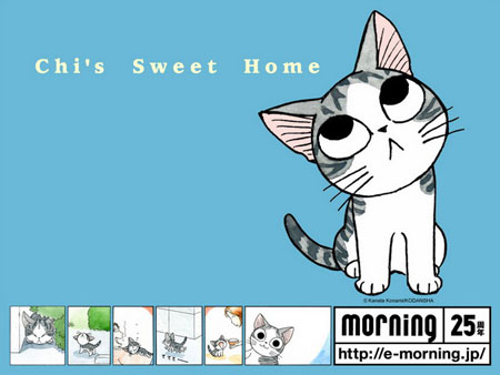 《甜甜私房猫》漫画第八卷发售 限定版附带超萌玩偶