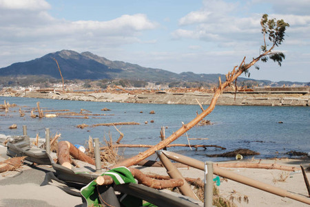 东日本大地震中受灾的文化遗产达463处
