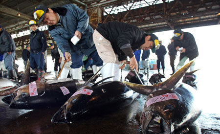 日本民众拒吃“辐射鱼”将引发日本饮食文化永久性改变