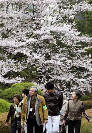 日本皇宫邀请灾民前来赏樱
