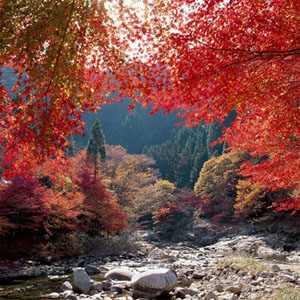 日本美人汤——奥津温泉
