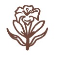 教堂内部分事物和纹章的宗教象征意义